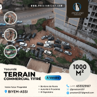 Terrain Commercial Titré de 1.000m² à vendre à Biyem-Assi image