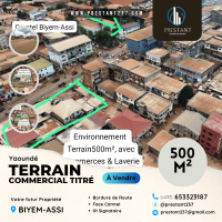 Terrain Commercial Titré de 500m² à vendre à Biyem-Assi image